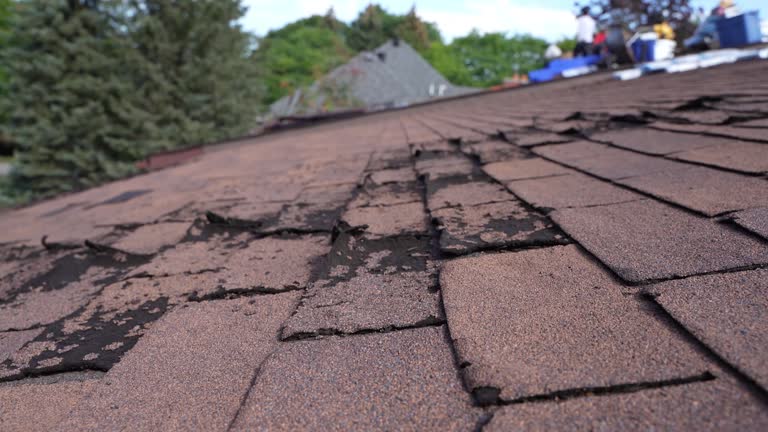 Best Tile Roofing Installation  in Arcanum, OH