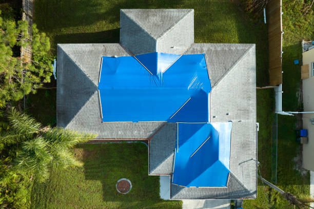 Best Roof Moss and Algae Removal  in Arcanum, OH